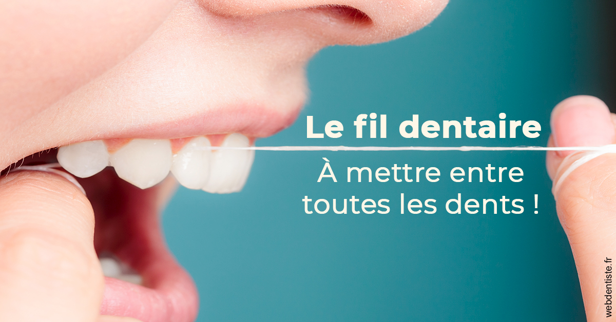 https://dr-vincent-dorothee.chirurgiens-dentistes.fr/Le fil dentaire 2
