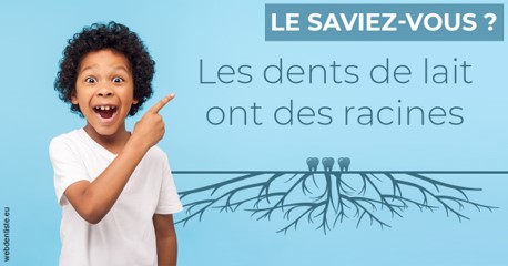 https://dr-vincent-dorothee.chirurgiens-dentistes.fr/Les dents de lait 2