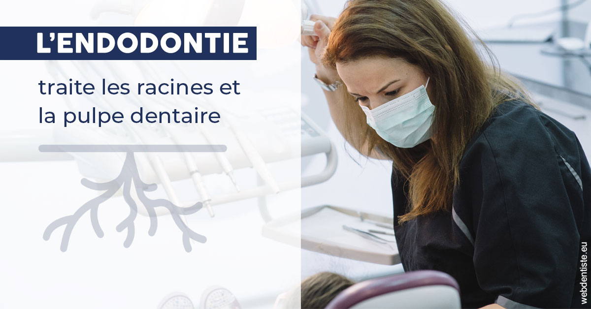 https://dr-vincent-dorothee.chirurgiens-dentistes.fr/L'endodontie 1