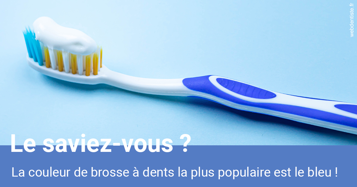 https://dr-vincent-dorothee.chirurgiens-dentistes.fr/Couleur de brosse à dents