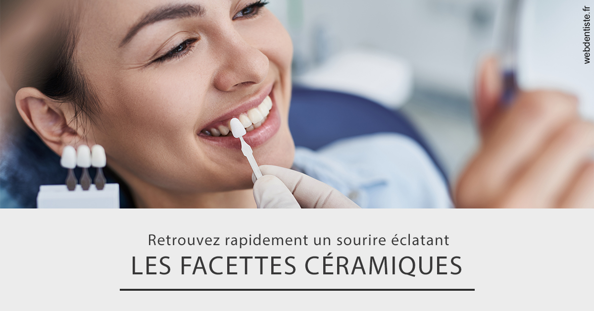https://dr-vincent-dorothee.chirurgiens-dentistes.fr/Les facettes céramiques 2