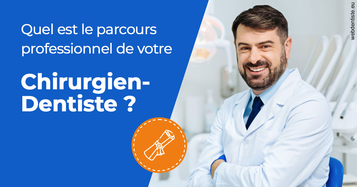 https://dr-vincent-dorothee.chirurgiens-dentistes.fr/Parcours Chirurgien Dentiste 1