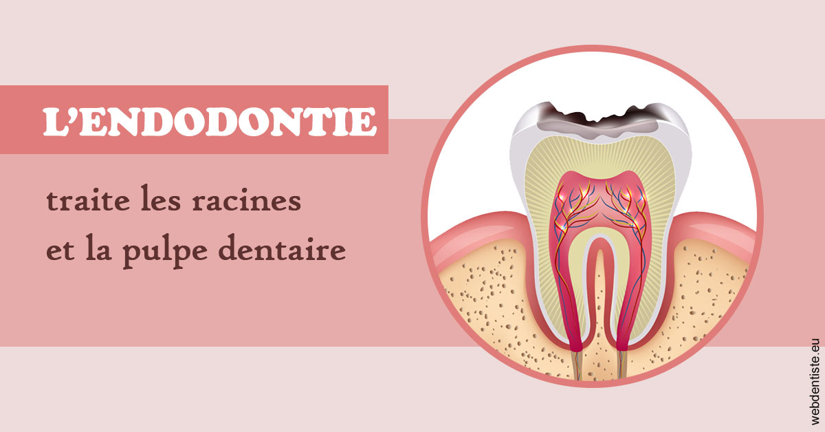https://dr-vincent-dorothee.chirurgiens-dentistes.fr/L'endodontie 2