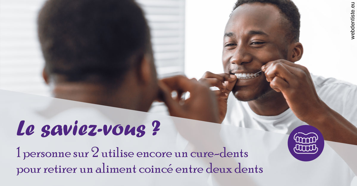 https://dr-vincent-dorothee.chirurgiens-dentistes.fr/Cure-dents 2