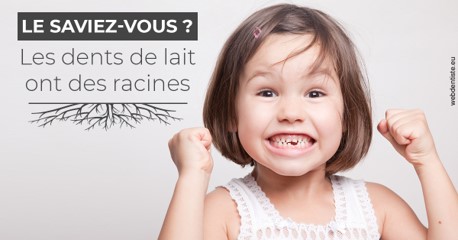 https://dr-vincent-dorothee.chirurgiens-dentistes.fr/Les dents de lait