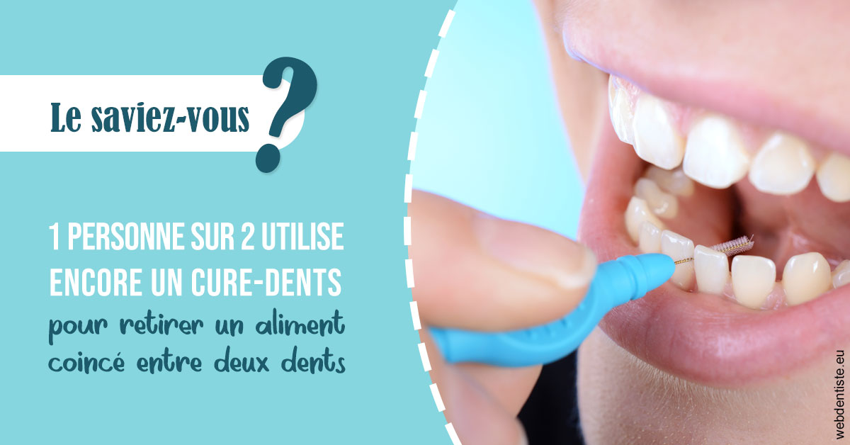 https://dr-vincent-dorothee.chirurgiens-dentistes.fr/Cure-dents 1