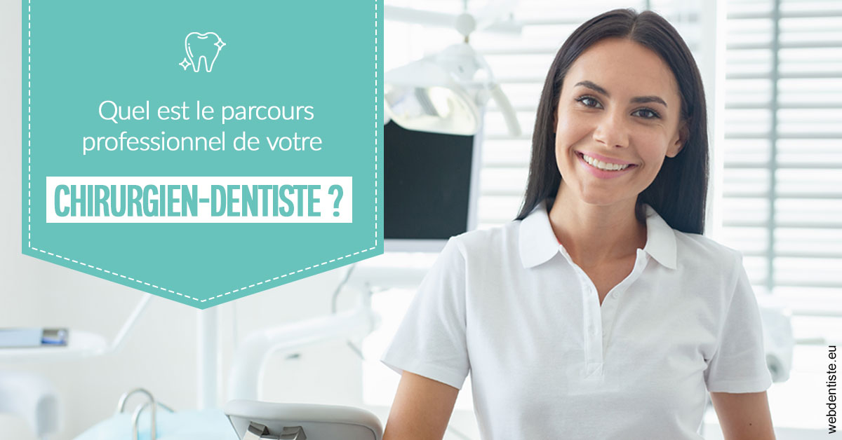 https://dr-vincent-dorothee.chirurgiens-dentistes.fr/Parcours Chirurgien Dentiste 2