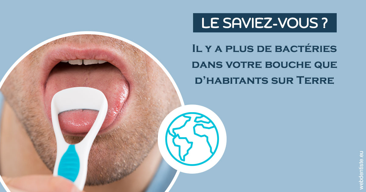 https://dr-vincent-dorothee.chirurgiens-dentistes.fr/Bactéries dans votre bouche 2
