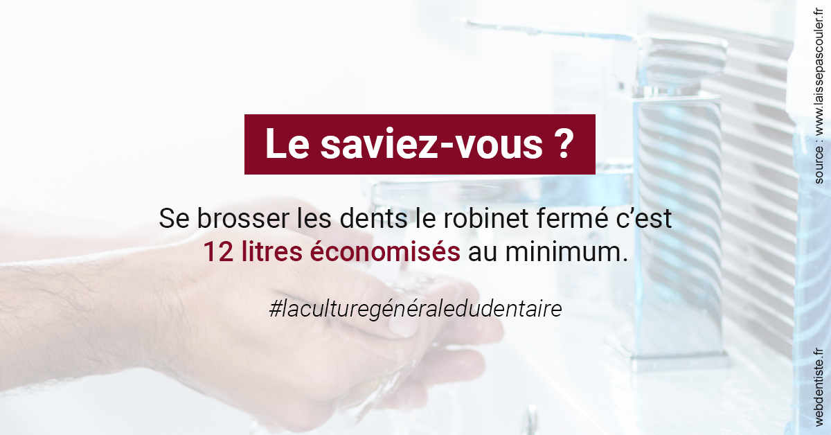 https://dr-vincent-dorothee.chirurgiens-dentistes.fr/Economies d'eau 2