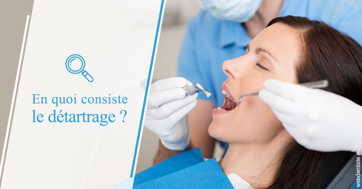 https://dr-vincent-dorothee.chirurgiens-dentistes.fr/En quoi consiste le détartrage