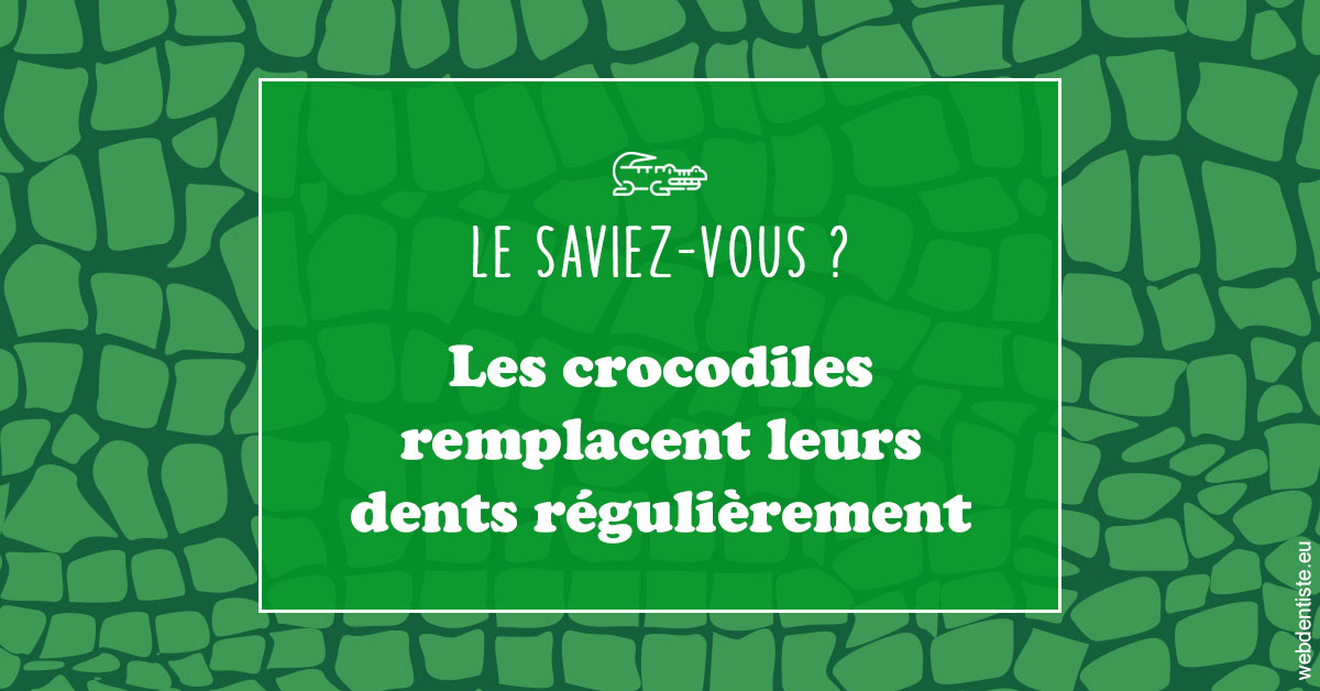 https://dr-vincent-dorothee.chirurgiens-dentistes.fr/Crocodiles 1