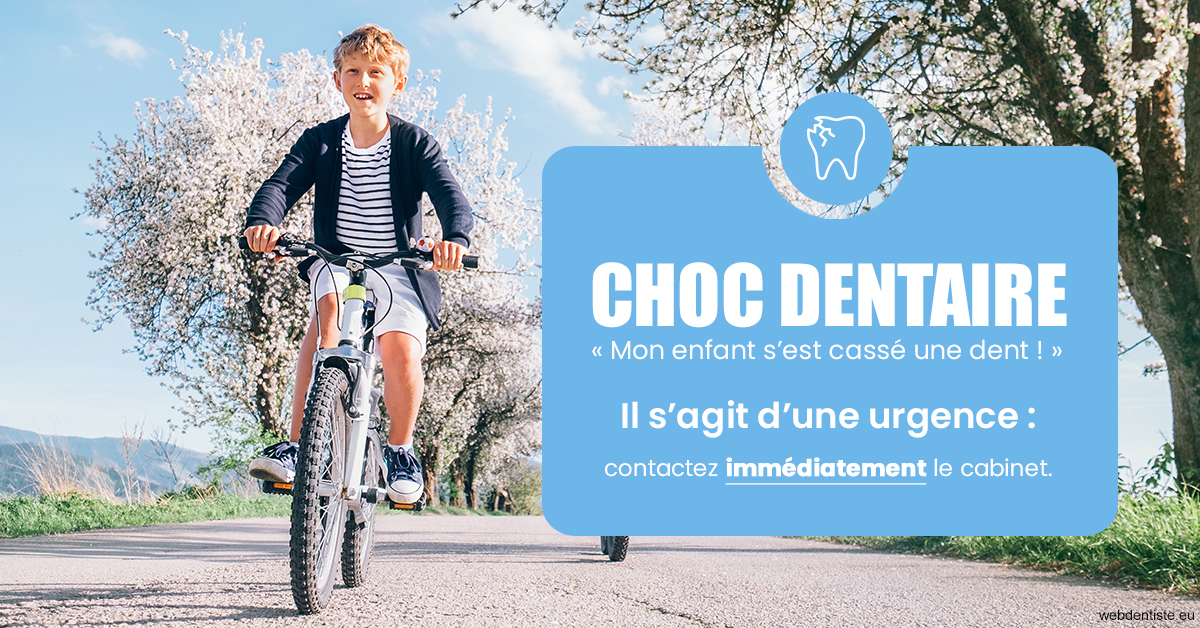 https://dr-vincent-dorothee.chirurgiens-dentistes.fr/T2 2023 - Choc dentaire 1